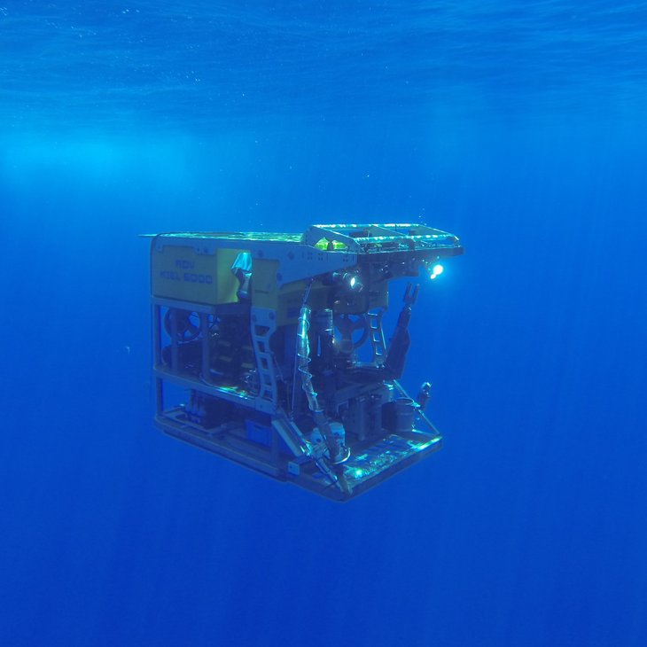 Der Unterwasserroboter (ROV) KIEL 6000 ist von blauem Wasser umgeben. 