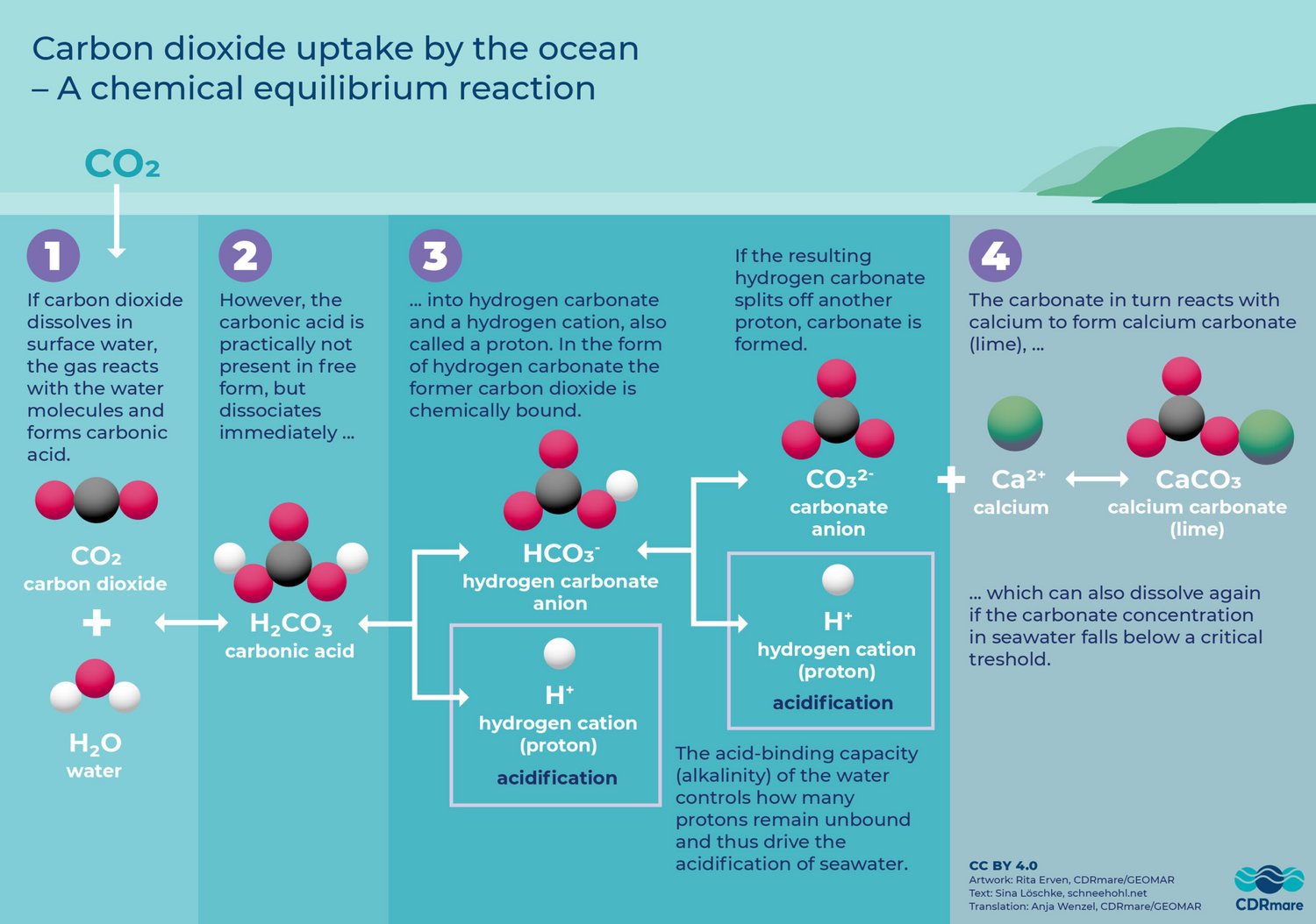 [Translate to English:] the graphic shows the chemical processes involved in the carbon dioxide uptake by the ocean