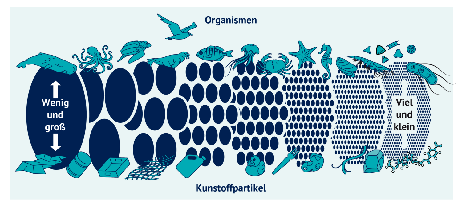 Die Grafik zeigt auf der linken Seite große Plastikprodukte wie eine Tüte. Im Verlauf nach rechts, wierden die Plastikteile kleiner aber dafür mehr. Zum Vergleich sind Meerestiere und -organismen dargestellt.