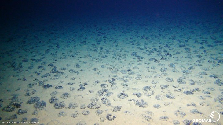 Auf dem Meeresboden in der Tiefsee liegen zahlreiche Manganknollen im Sand.