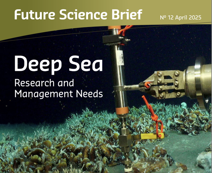 Screenshot des Wissenschaftlichen Berichts zur Tiefseeforschung vom European Marine Board.