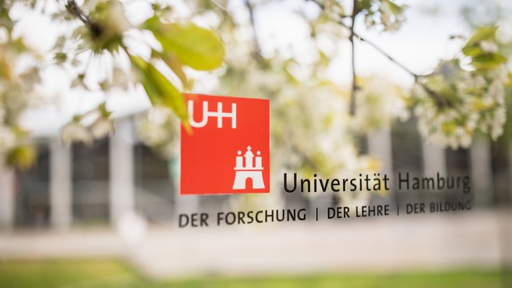 Das Logo der Universität Hamburg mit Flühlingsblüten im Hintergrund