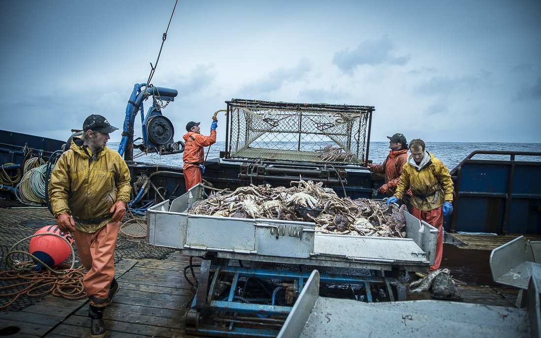 Königskrabbenfischer bei der Arbeit. Credit: Jeff Hester / Ocean Image Bank