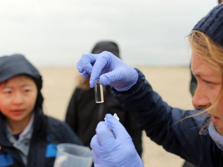 Studierende untersuchen am Strand Austauschprozesse zwischen Grund- und Meerwasser.