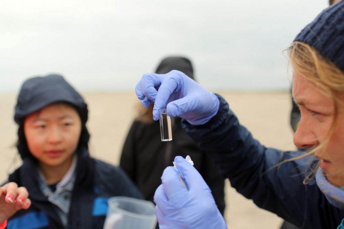  Students investigate exchange processes between groundwater and seawater on the beach.
