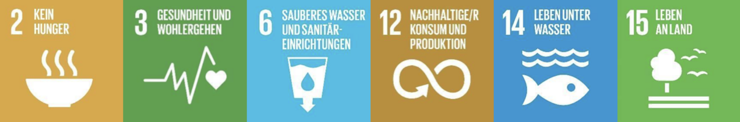 SDGs zu sauberen Ökosystemen Die Grafiken der sechs UN-Nachhaltigkeitsziele, die das Thema saubere Ökosysteme an Land und im Meer beinhalten.