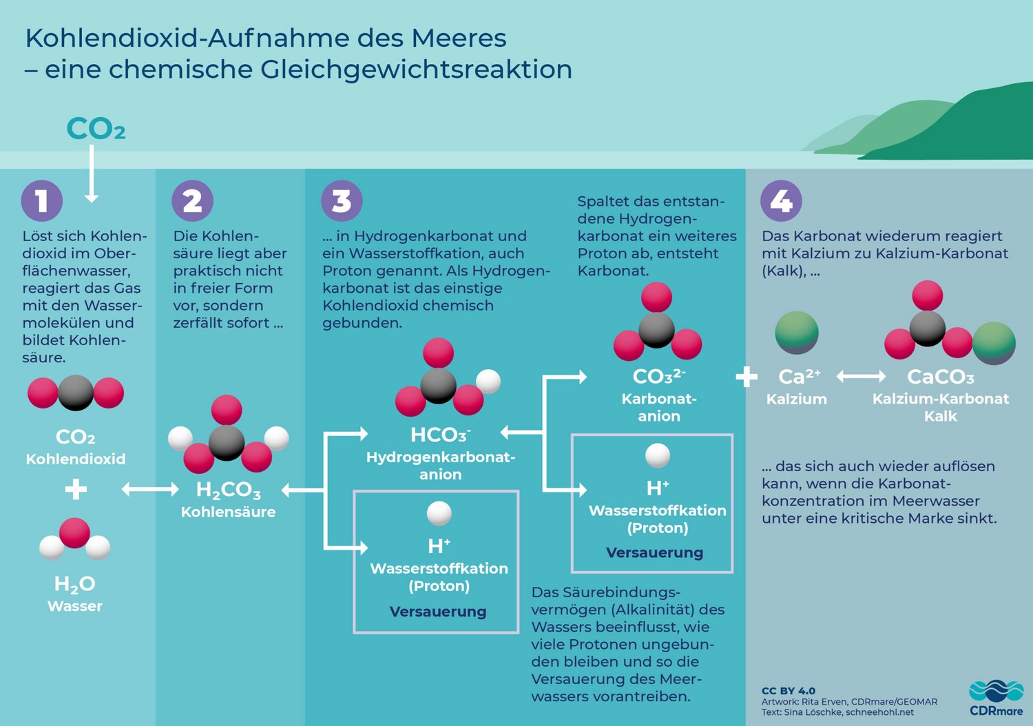 Die Infografik zeigt chemische Prozesse bei der Kohlendioxid-Aufnahme des Meeres