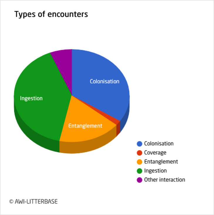 Pie chart_interactions_plastic-marine life Pie chart showing the various interactions of marine life with plastic waste and the frequency.