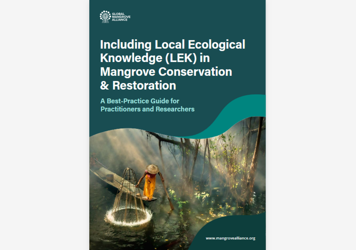 Image of mangroves on the cover of the brochure